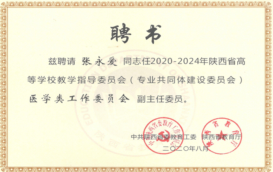 教指委委员颁发证书